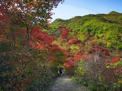 -龙道沟景区