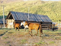 -熊家万峦猪脚(车城店)