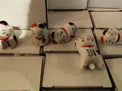 -猫咪博物馆(顶澳仔猫街店)