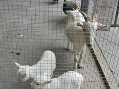 -厦门悦华酒店