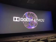 -奥斯卡升龙国际影城(RealD Cinema)