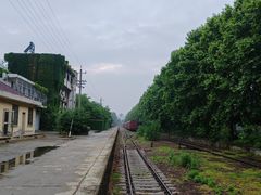 -浦口码头(轮渡站)