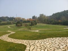 -棒棰岛宾馆景区