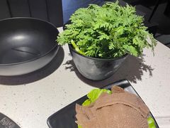 -京韵胡同·酱香羊蝎子火锅涮肉(长寿路店)