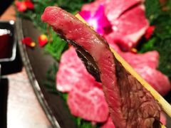 松阪牛烧肉-松阪牛焼肉M(法善寺横丁店)