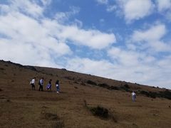 -大姆山草场
