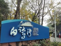 -白鹭湾湿地公园