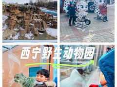 -青藏高原野生动物园