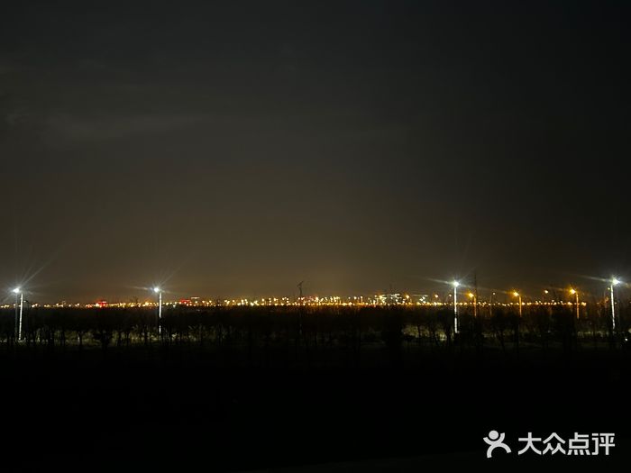 南汇嘴观海公园图片