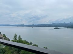 -浔味·山屿湖·正宗淳牌全鱼宴老字号