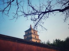 -大雁塔北广场音乐喷泉