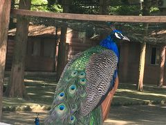 -南京金牛湖风景区