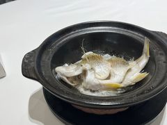-观海海鲜(蛇口广场店)
