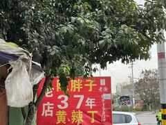 -陈胖子鱼庄(黄辣丁新津店)