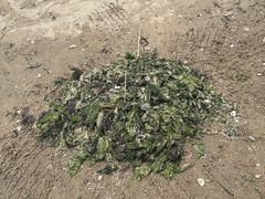 -ChanDu躔度咖啡(灯塔店)