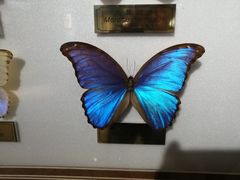 -上海昆虫博物馆