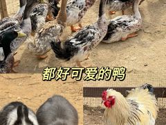 -盈香心动乐园