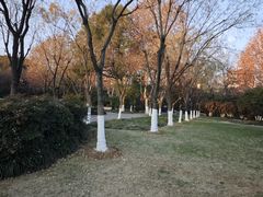 -明故宫遗址公园