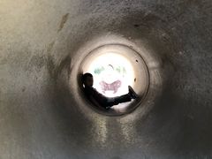 -北京麋鹿生态实验中心