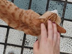 -十九路军淞沪抗日阵亡将士陵园