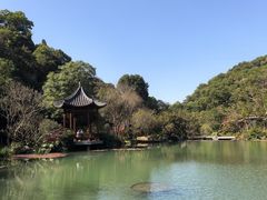 -云溪植物园