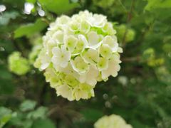 -国家植物园(地铁站)