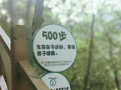-大岭沟猕猴桃谷风景区
