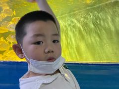 -沙沙哗啦海洋馆(华宇百花谷店)