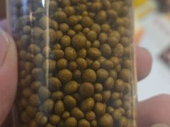-一盏明灯全素斋(殊像寺店)