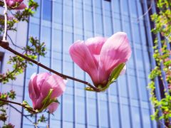 -华润大厦-停车场