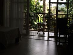 -三亚珠江南田温泉度假区