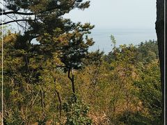 -棒棰岛宾馆景区