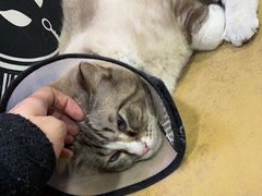 -白兔子密室(长寿路店)