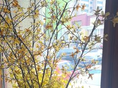 -八府香鸭·啫啫煲(华山路店)