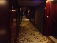 环球恐龙城维景国际大酒店-常州环球恐龙城维景国际大酒店