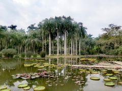 -中国科学院西双版纳热带植物园