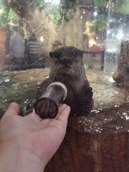 -Zoolung Zoolung动物主题公园(海信广场店)