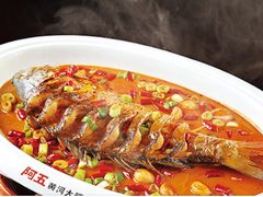 -阿五黄河大鲤鱼(纬三路店)