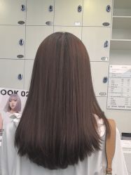 -YESIDO椰岛造型