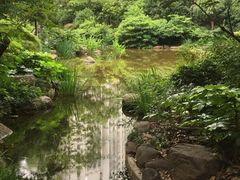 -新湖明珠城