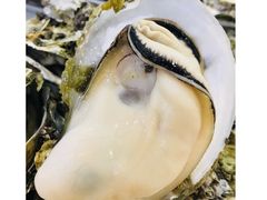 -蠔门宴海鲜城·阳江特色菜