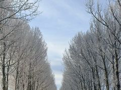 -新疆那拉提国家旅游度假区