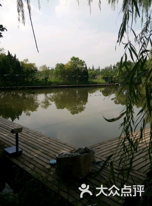 三墩绿韵农庄图片 - 第20张