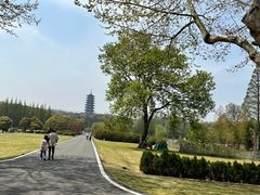 -宜兴龙背山森林公园