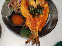 -管氏翅吧(中关村店)