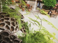 -石屏会馆