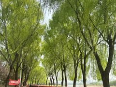 -咸阳湖景区
