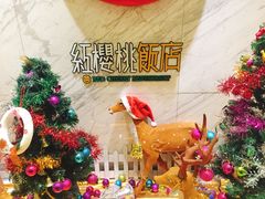 -红樱桃·新派辽菜(北行店)