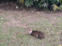 -新虹桥中心花园