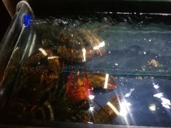 -枫伝料理居酒屋